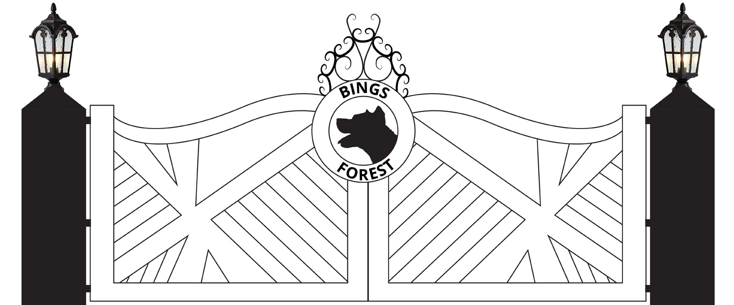 Metal Gate Design StepUp Web Design